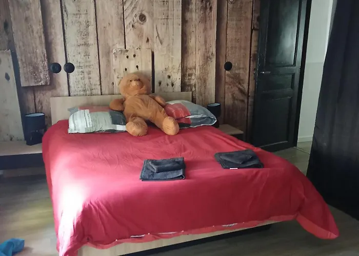 La Celiane- Climatise Avec Patio Classe 3 Etoiles Tatil Evi Castelnaudary